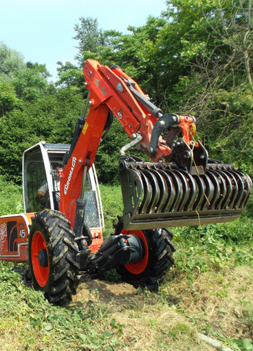 Excavadora araña forestal