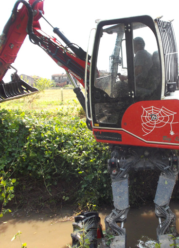 Excavadora araña forestal